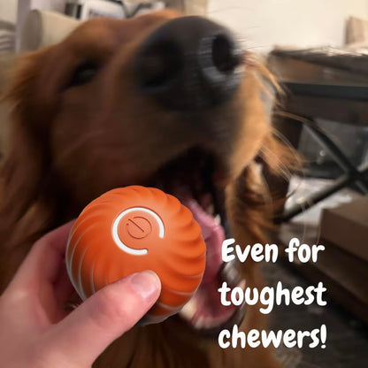 🔥💥Interactive Dog Toys Dog Ball