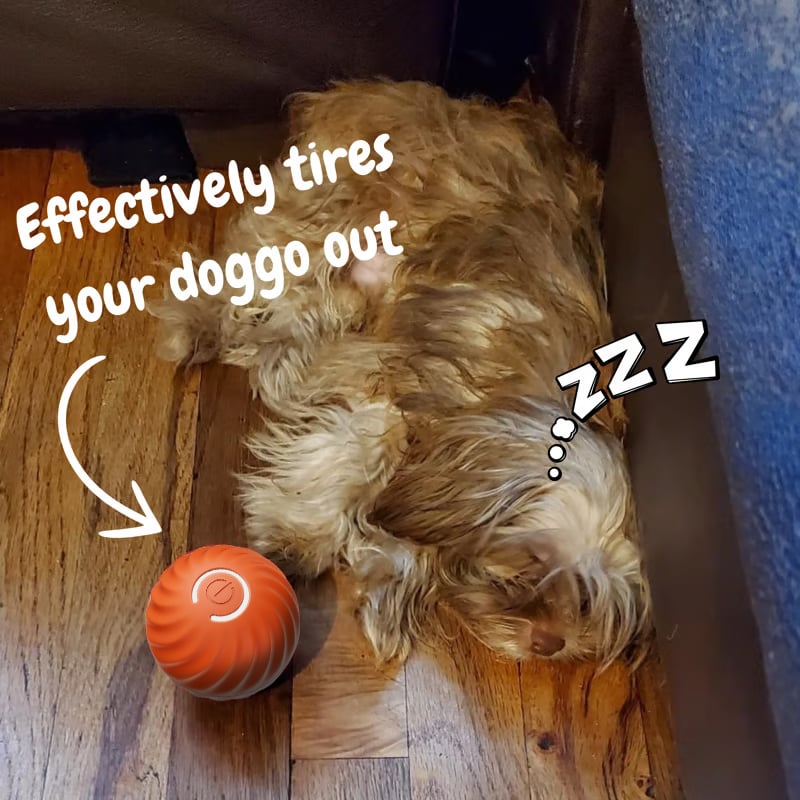 🔥💥Interactive Dog Toys Dog Ball