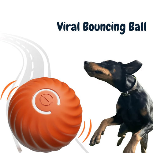 🔥💥Interactive Dog Toys Dog Ball